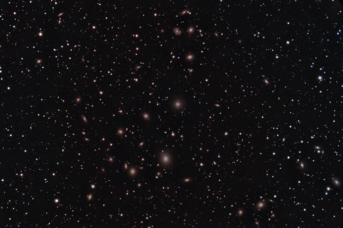 Galaxy Cluster in Perseus